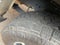 2022 Nissan Frontier Crew Cab PRO-4X 4x4